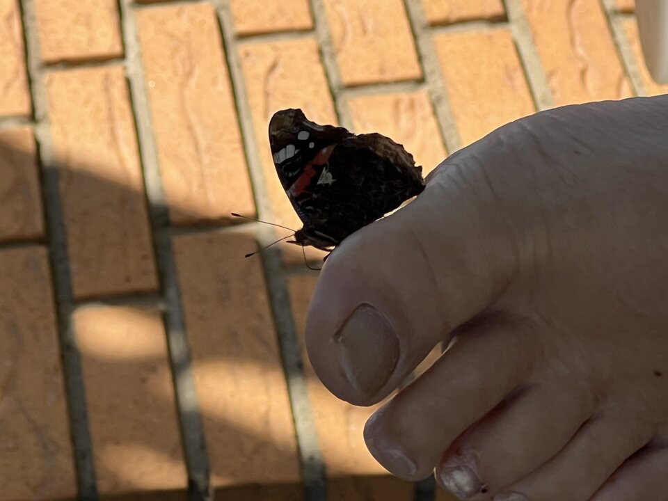 FCF10747-FC12-4435-8E81-CD259603443D.jpeg - nrw670n