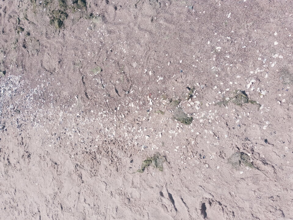 20220703_132714.jpg - InkaIna