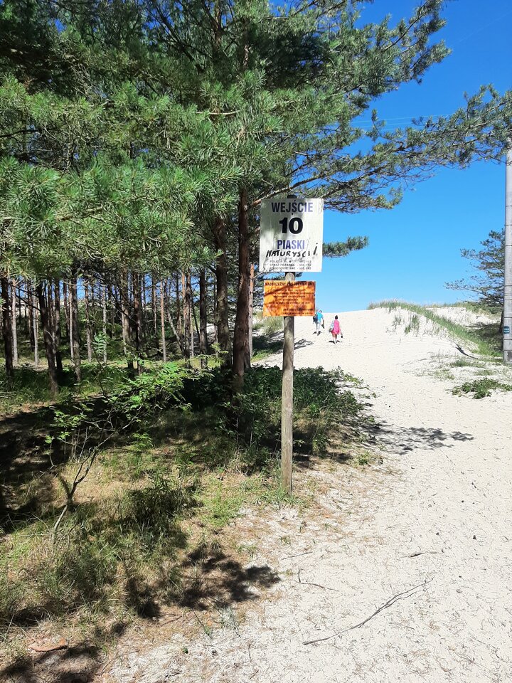 20220703_112711.jpg - gryzzly66