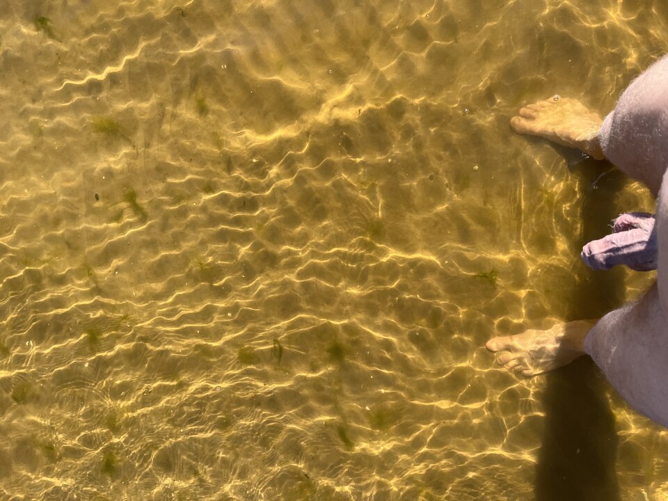 18DA122F-E3D3-4F4F-B1C6-033C4131B529.jpeg - EvoRaf