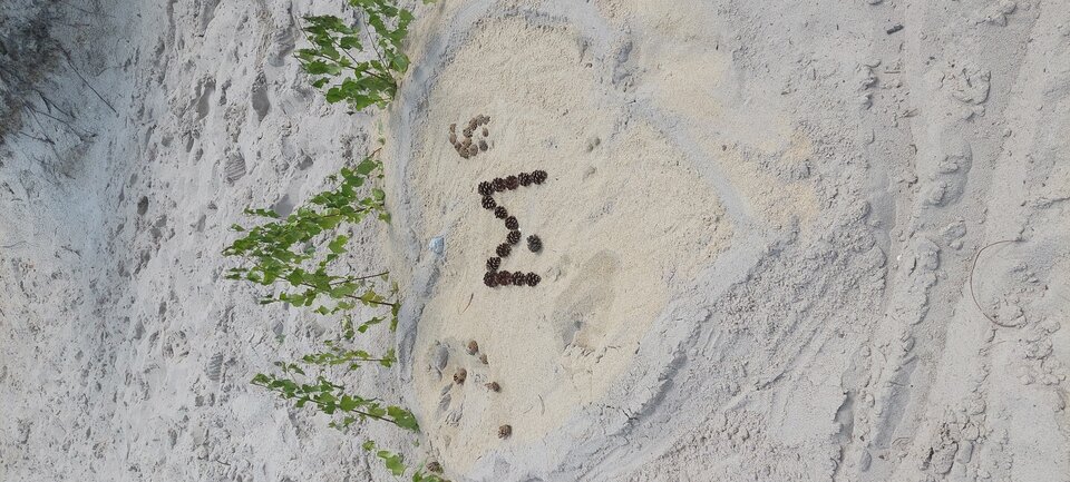 20220703_123649.jpg - marzeneczka76