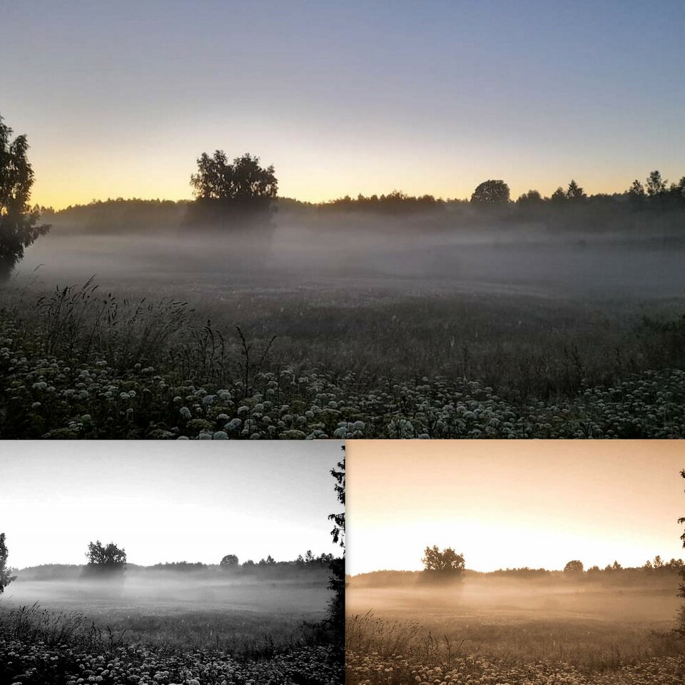 1234 - LewePlucoSmoka