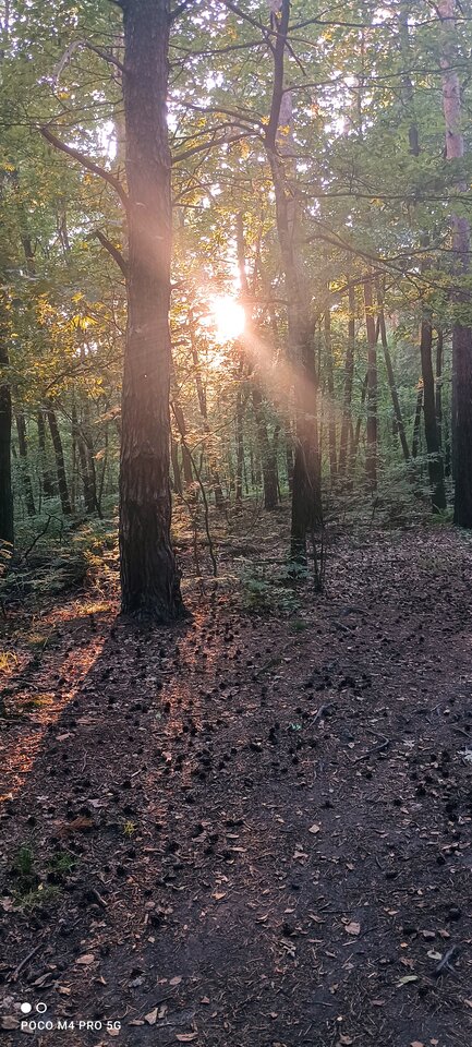 IMG_20220703_193958.jpg - Wstydliwi75