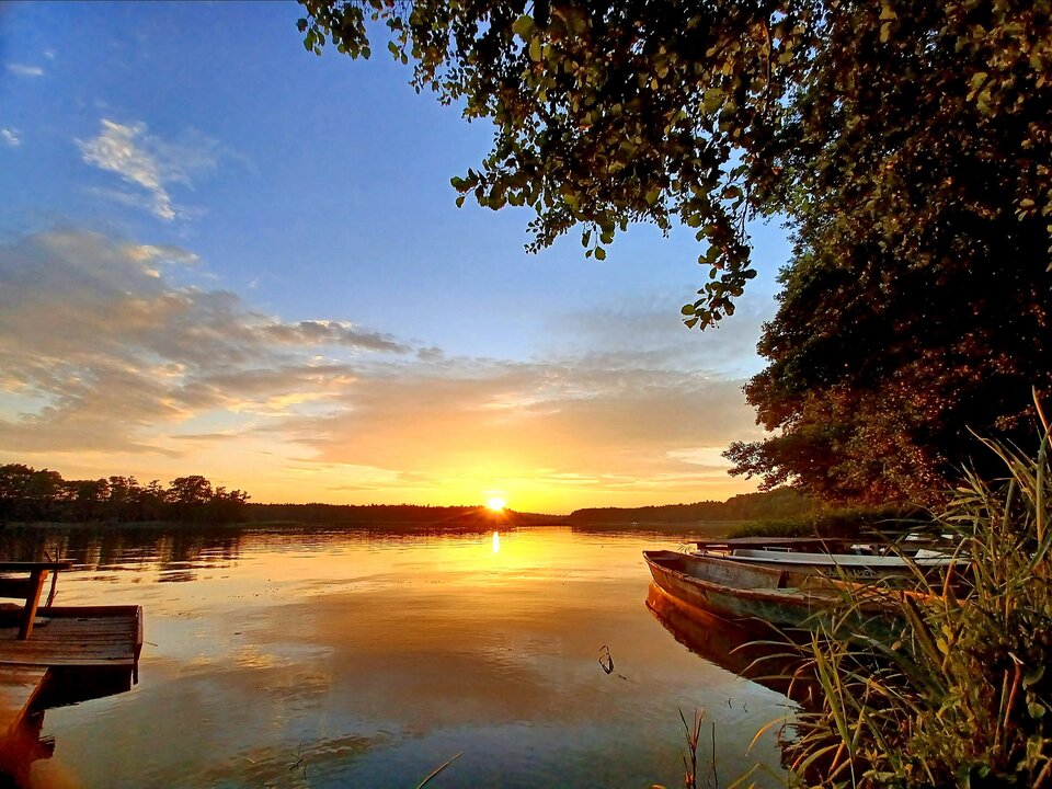 20220630_205355.jpg - Alien65