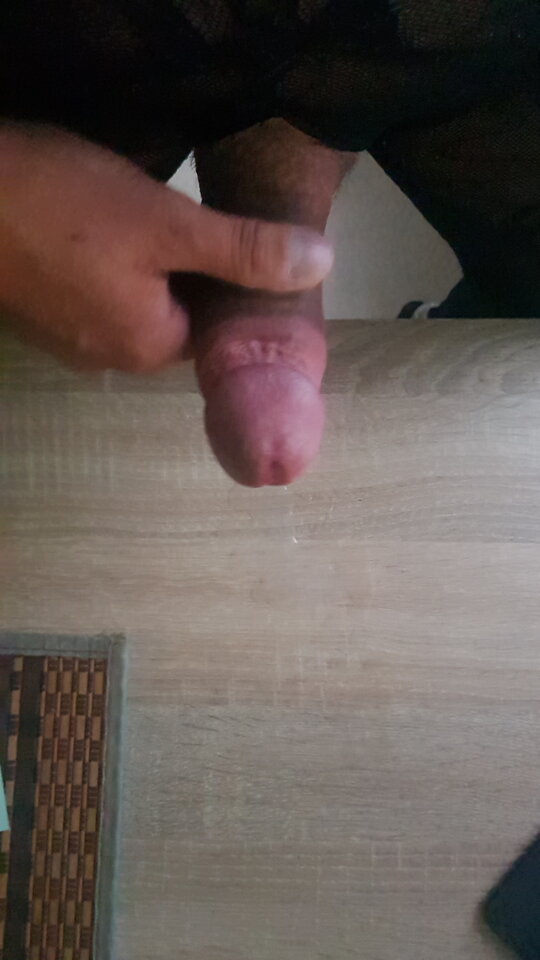 20220703_065518.jpg - bruno1981