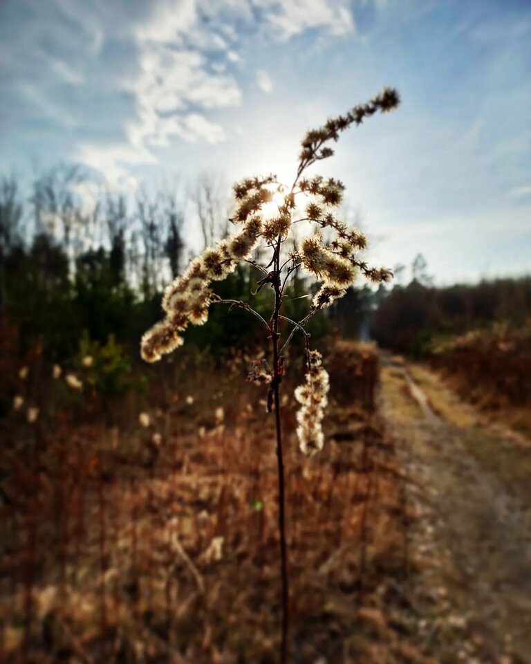 IMG_20220215_210341_261.jpg - adammo1987