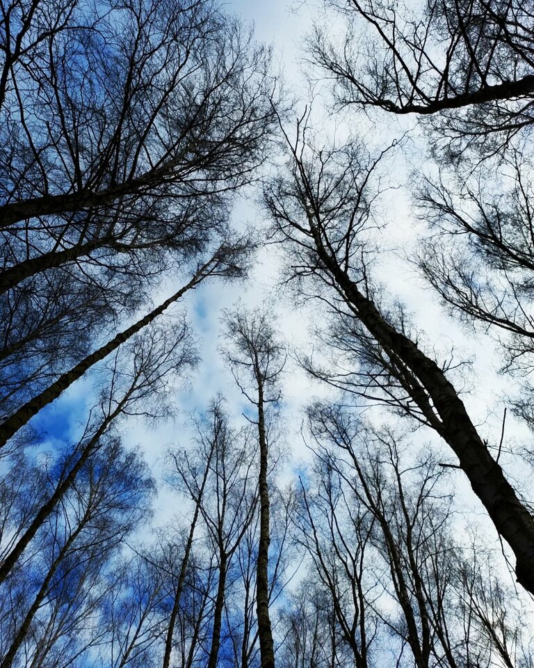 IMG_20220215_210341_202.jpg - adammo1987