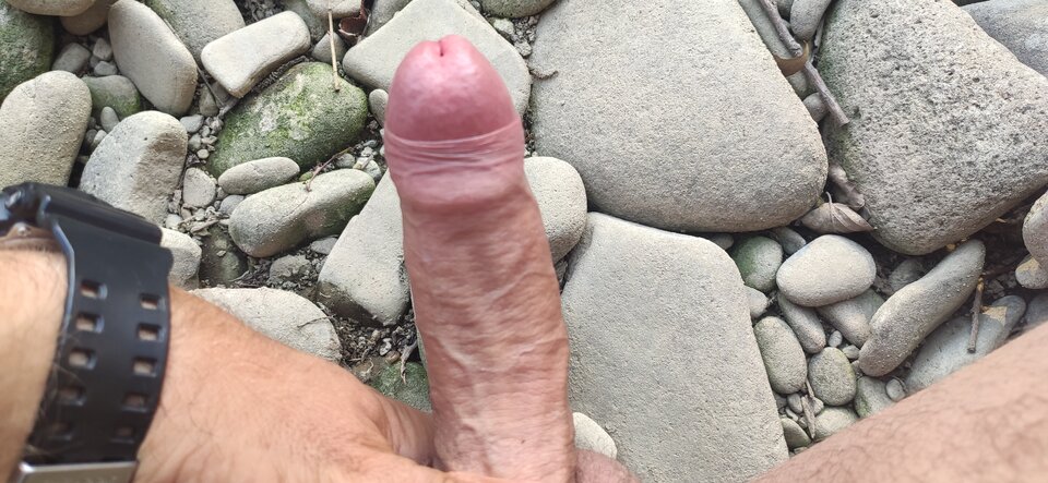 IMG_20220704_182748.jpg - Rozpustniczacy