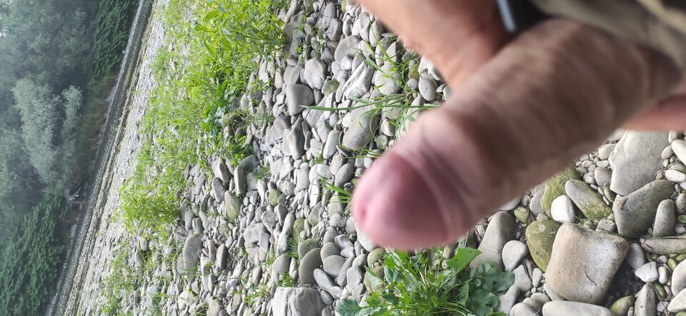 IMG_20220704_184658.jpg - Rozpustniczacy