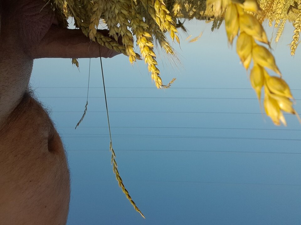 20220705_070243.jpg - rafal1410