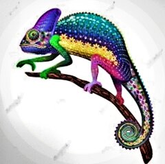 Screenshot_20220705-185325_Firefox-01.jpeg