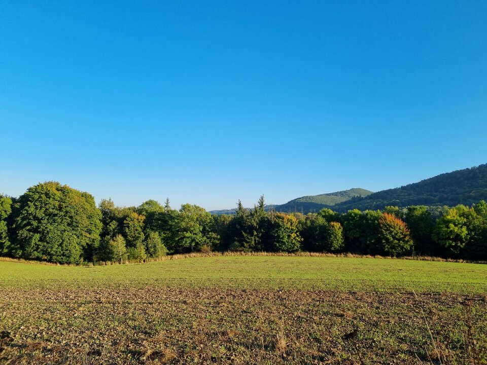 20211009_165840.jpg - Pepito90