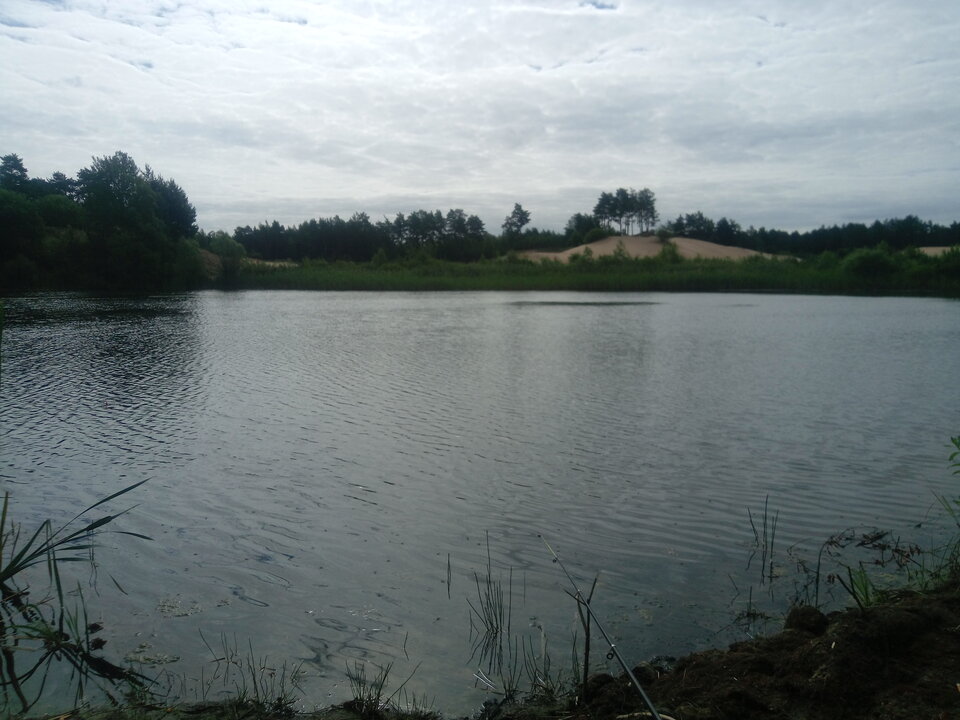 16571772732933443447584839031497.jpg - Grubasek1991