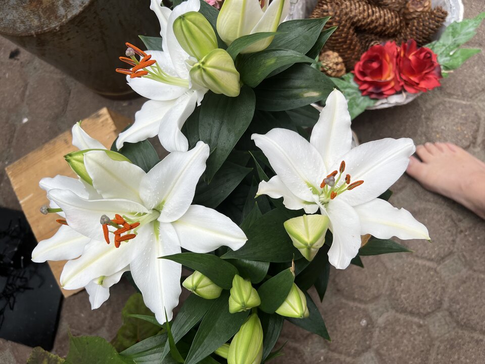 456C3278-CF97-4067-94BD-37A098E042DD.jpeg - nrw670n