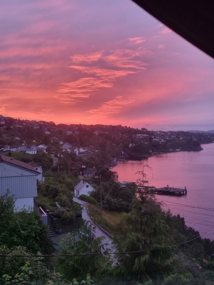 IMG-20220627-WA0010.jpg - zibarsan