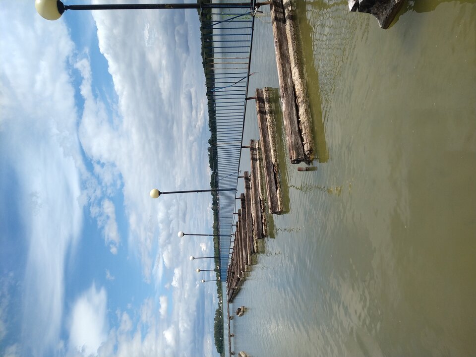 16571885528121939479729625804762.jpg - piotrlub