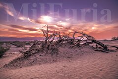 MilFuriowe wieczory magiczno-godzinne