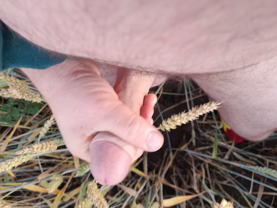 20220708_063841.jpg - rafal1410