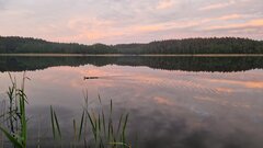 20220608_205628[1].jpg