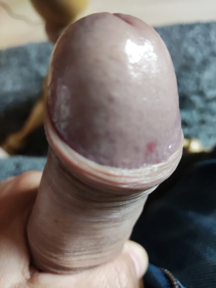 IMG_20220708_171012.jpg - danielchelmza