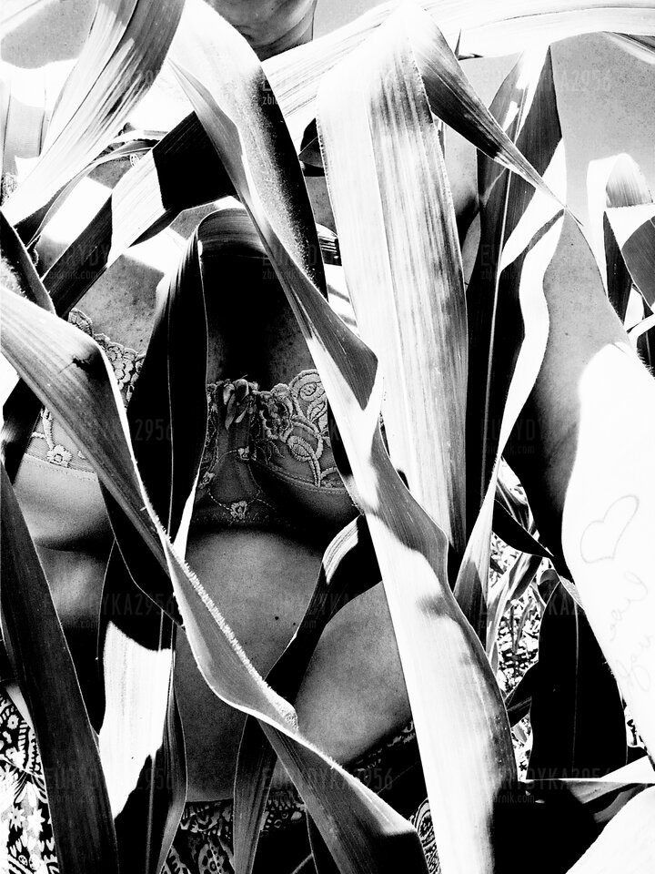 IMG_20220704_105834.jpg - Eurydyka2956