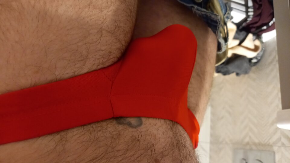 20220709_090631.jpg - Tygrysek3329