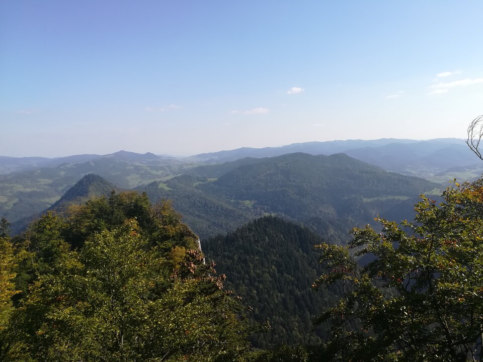 IMG_20180919_142426.jpg - Julas7076