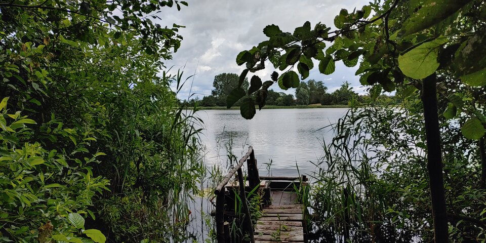 16573661778251934583942311017260.jpg - Chagal69