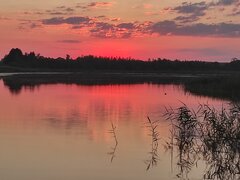 IMG_20220626_210809.jpg
