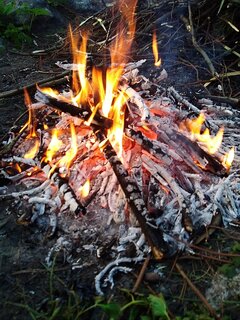 IMG_20220709_203741.jpg