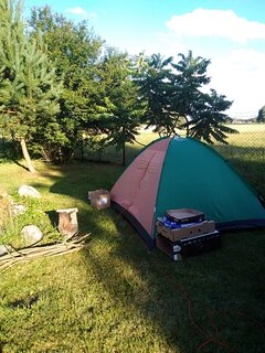 IMG_20220709_190438.jpg