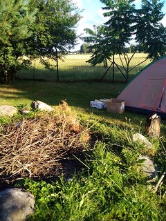 IMG_20220709_190510.jpg