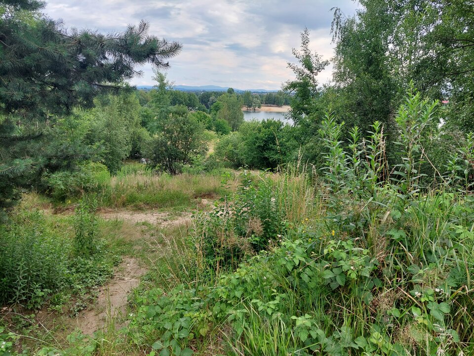 20220709_182049[1].jpg - Wykladowca