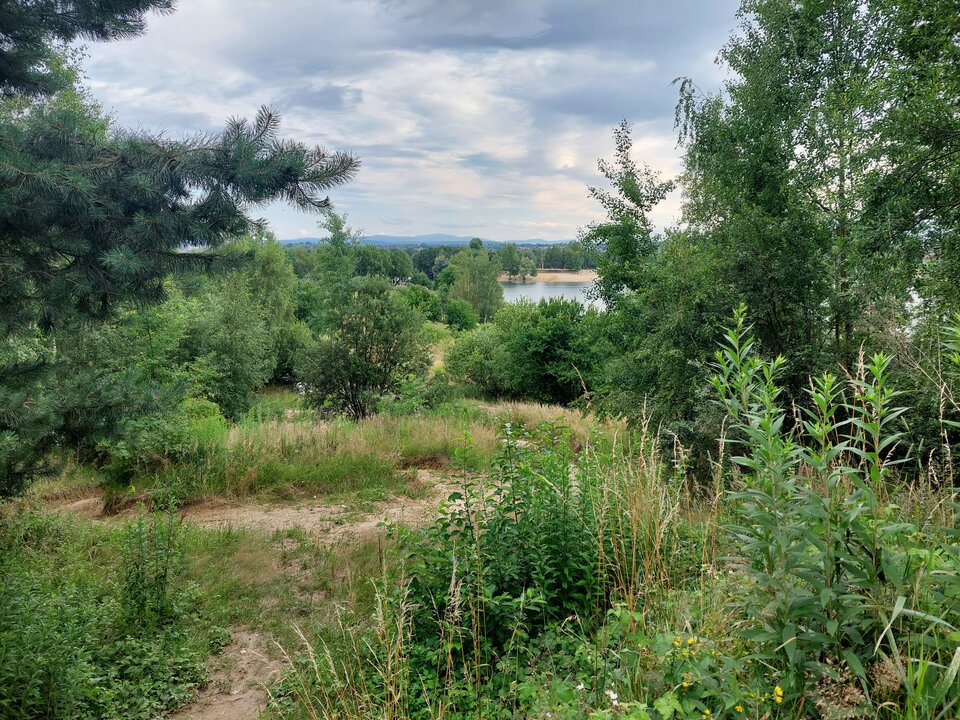 20220709_182119[1].jpg - Wykladowca