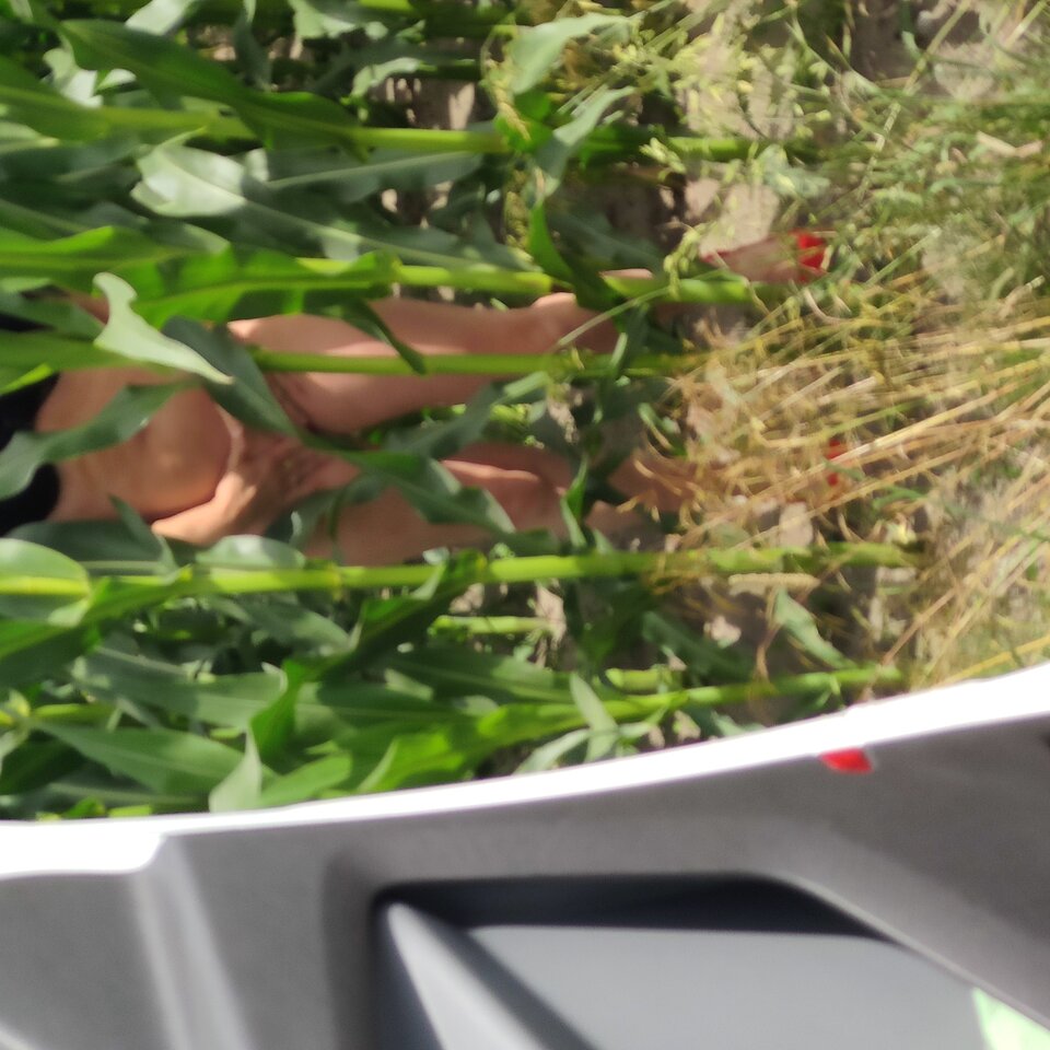 IMG_20220709_113808.jpg - GOGO5