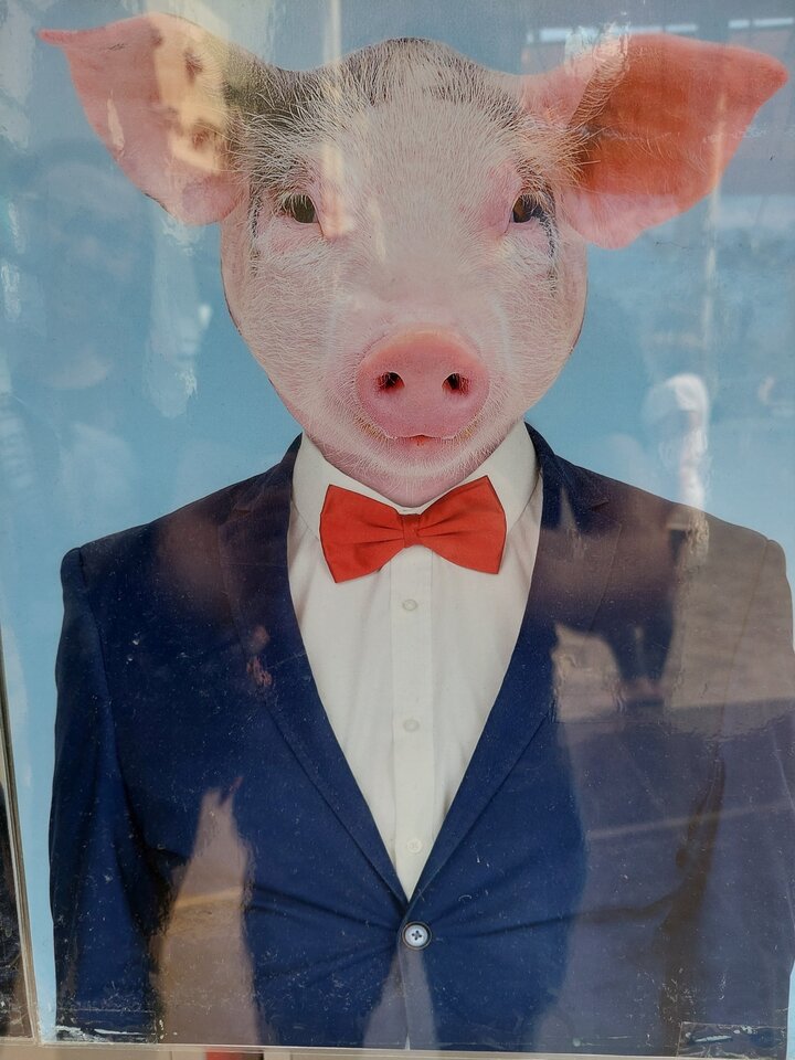 Facet to .... często Panie tak o nas mówią;) - Tomasz39lat