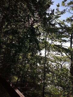 IMG_20220710_182257.jpg