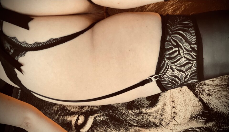 Kociak - Napaleni_zakochani