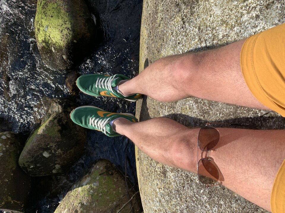 F590D677-D370-4CCA-A445-8BEF1D24646C.jpeg - mikielike