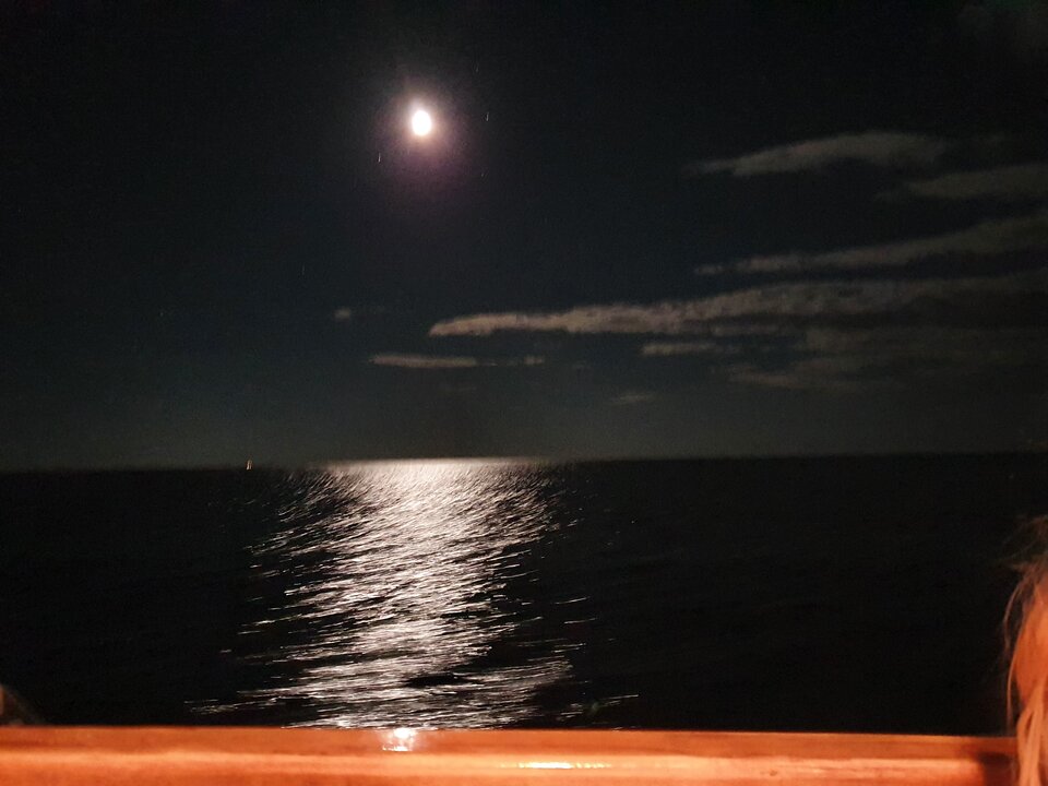 20220710_223354.jpg - parka2936g