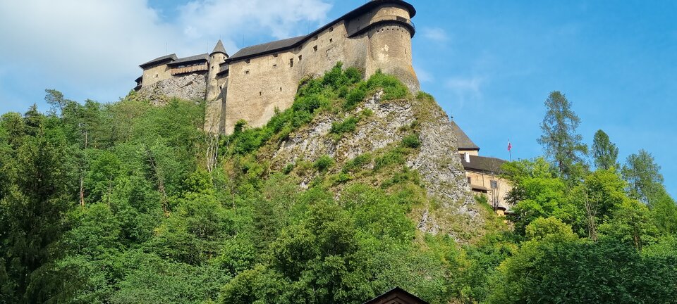 20220628_160801.jpg - misiekxx1