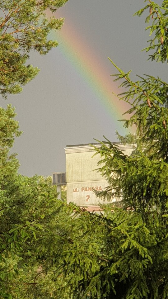 20220706_190618.jpg - reporter13