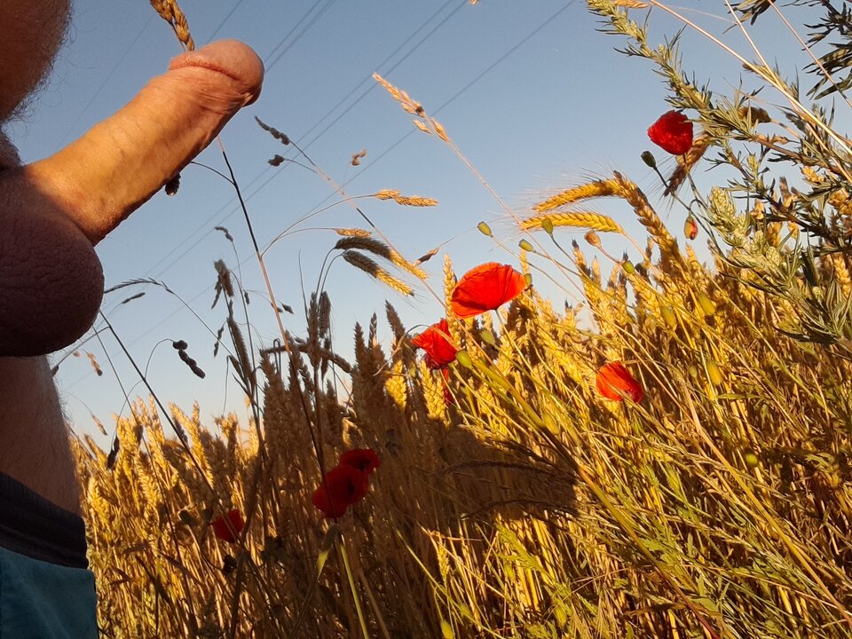 20220712_055528.jpg - rafal1410