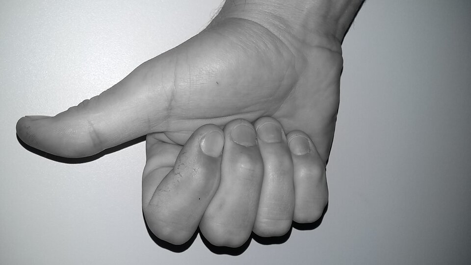 20220712_064706.jpg - MillyByd