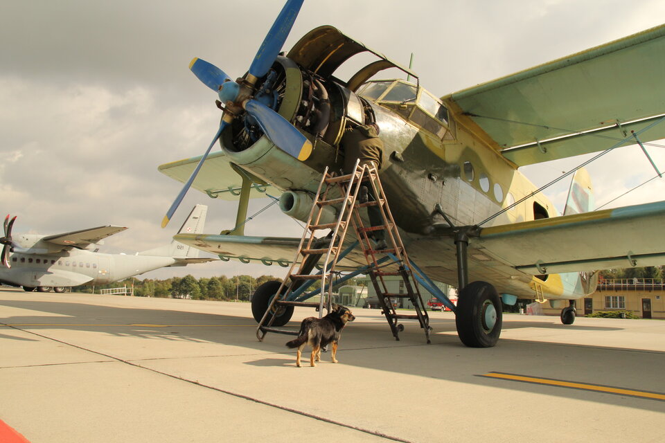 IMG_1748.JPG - ciekawy62