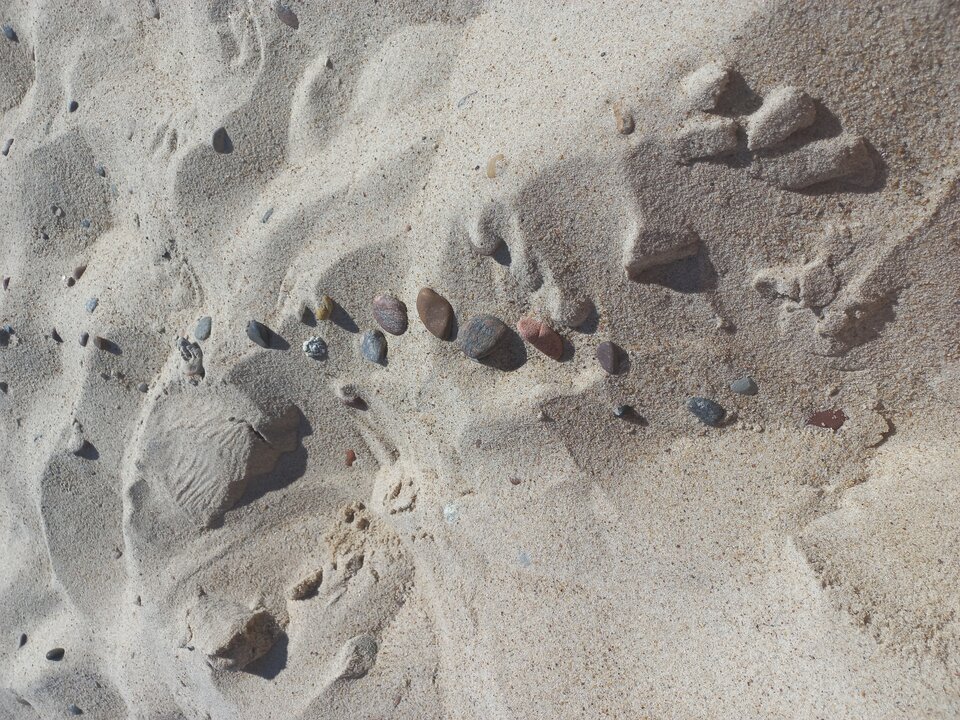 20220712_105118.jpg - InkaIna