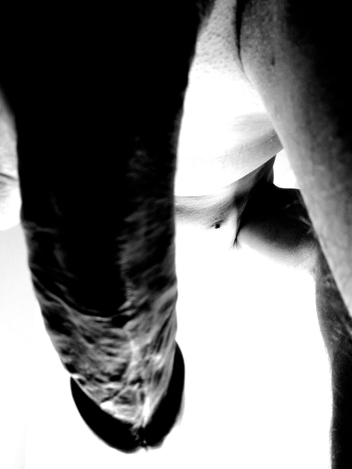 IMG_20220712_132541.jpg - casper134