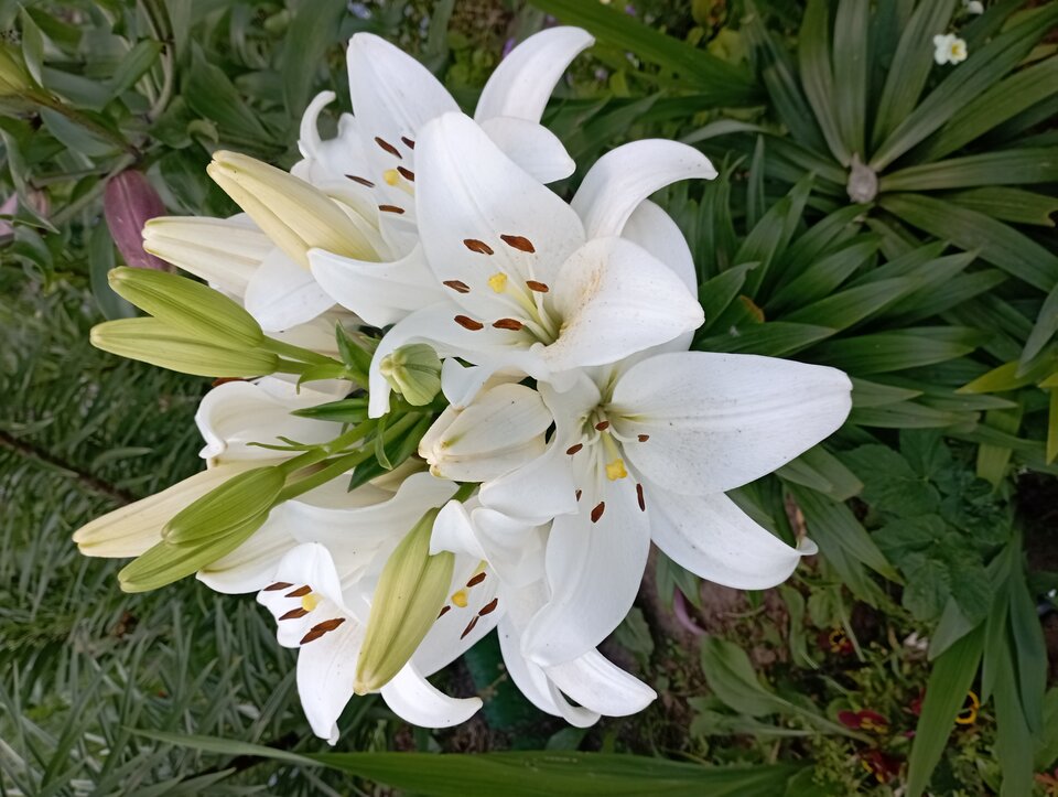 IMG_20220712_194553.jpg - 19slaw79