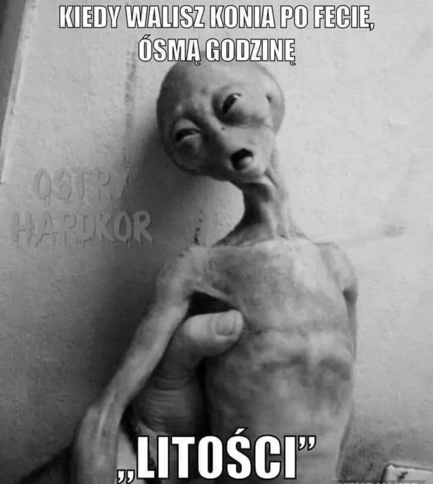 IMG_20220711_185810.jpg - miki84wp