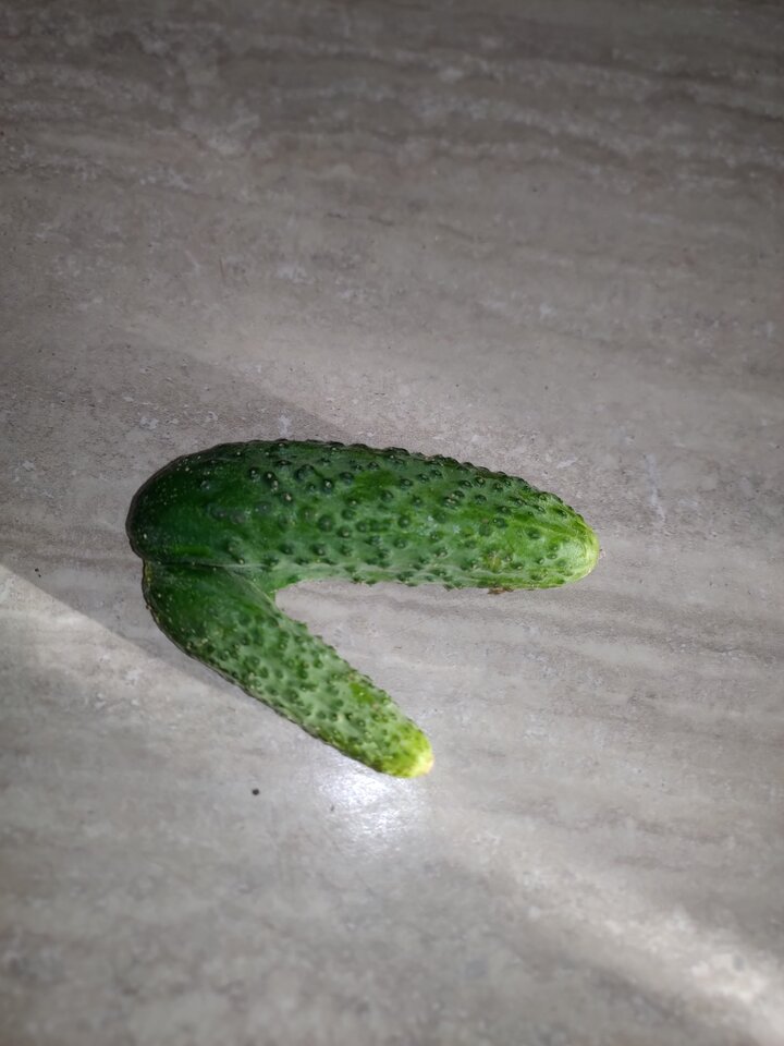 P_20220614_192831.jpg - SEXI_MISUACZKI